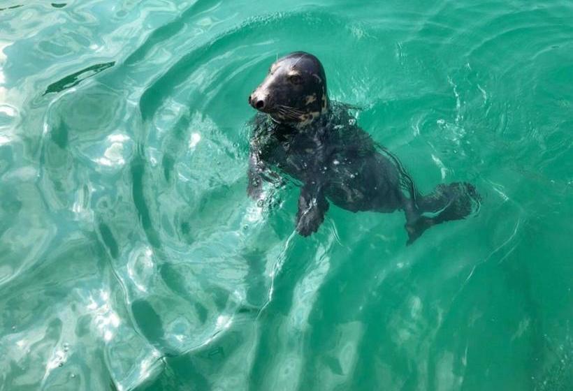 ベッドアンドブレックファースト Itchingstone Cottage