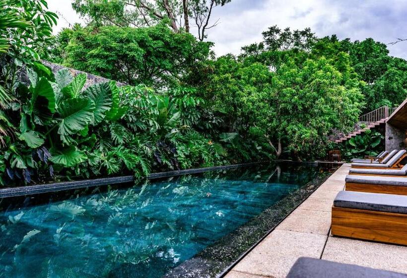 Отель Casa De Agua