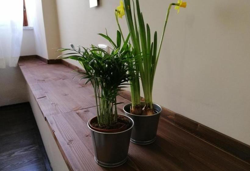 B&b Agorà Di Paestum