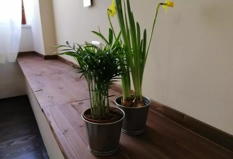 B&b Agorà Di Paestum