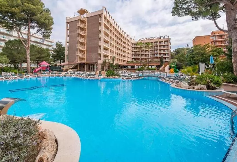 Golden Avenida Family Suites 4