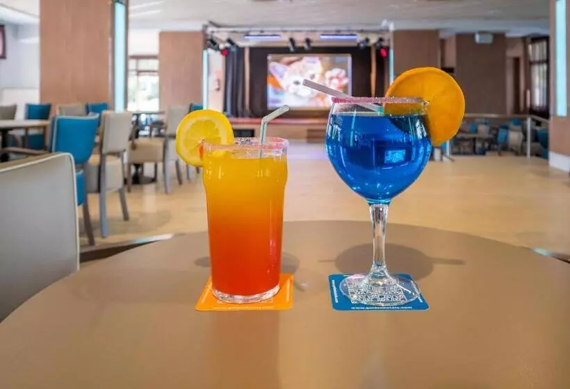 Golden Avenida Family Suites 4