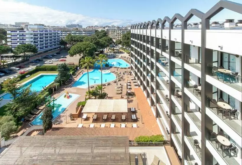 Golden Avenida Family Suites 4