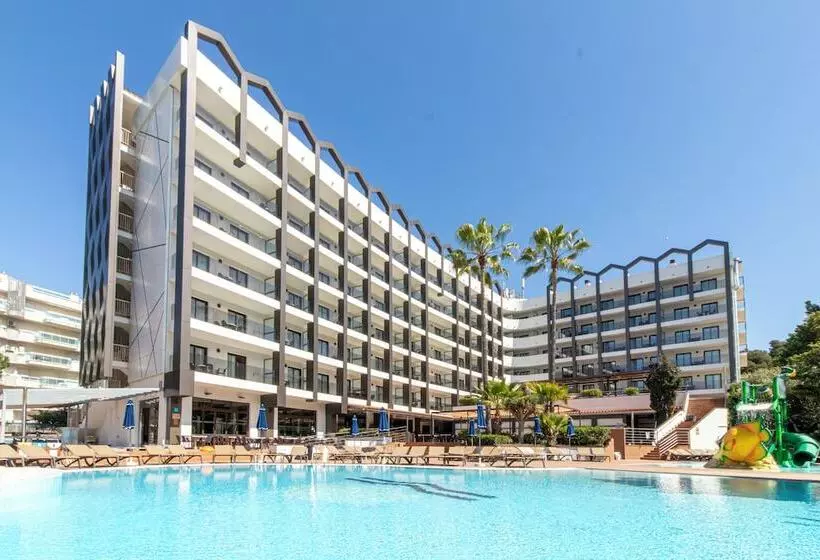 Golden Avenida Family Suites 4