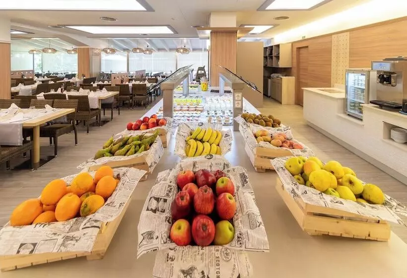 Golden Avenida Family Suites 4