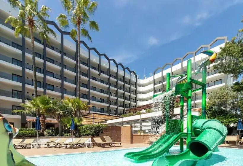 Golden Avenida Family Suites 4