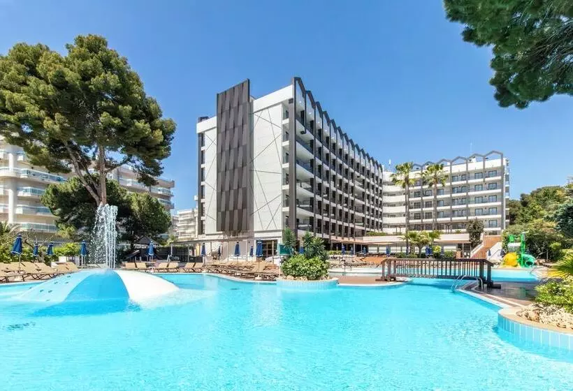 Golden Avenida Family Suites 4
