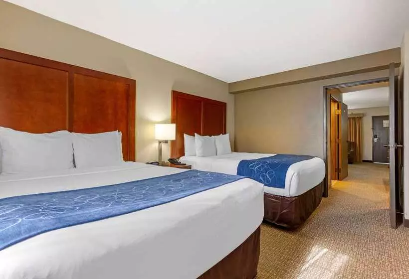 酒店 Comfort Suites Fredericksburg South