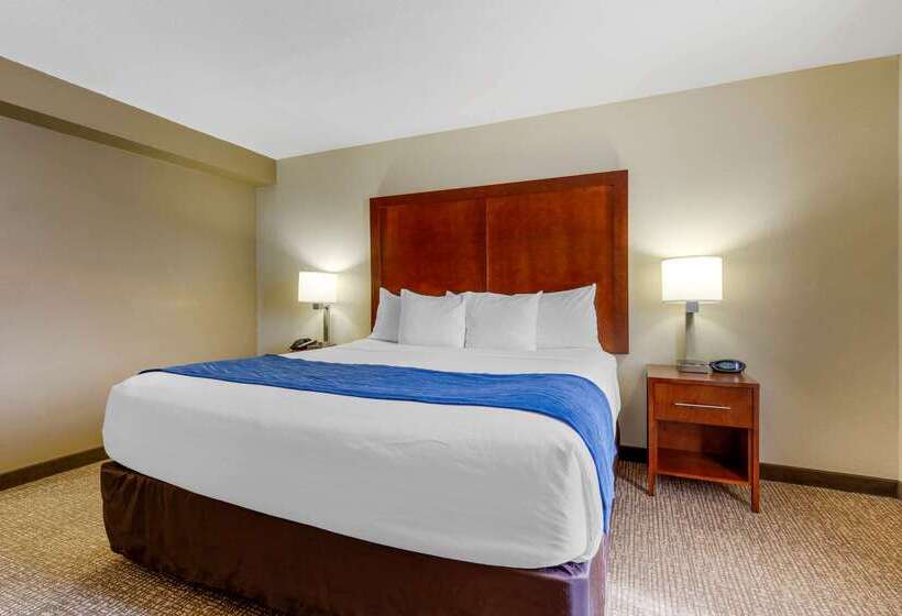 فندق Comfort Suites Fredericksburg South