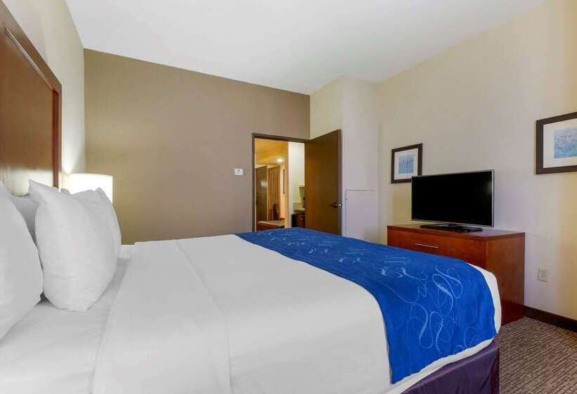 فندق Comfort Suites Fredericksburg South