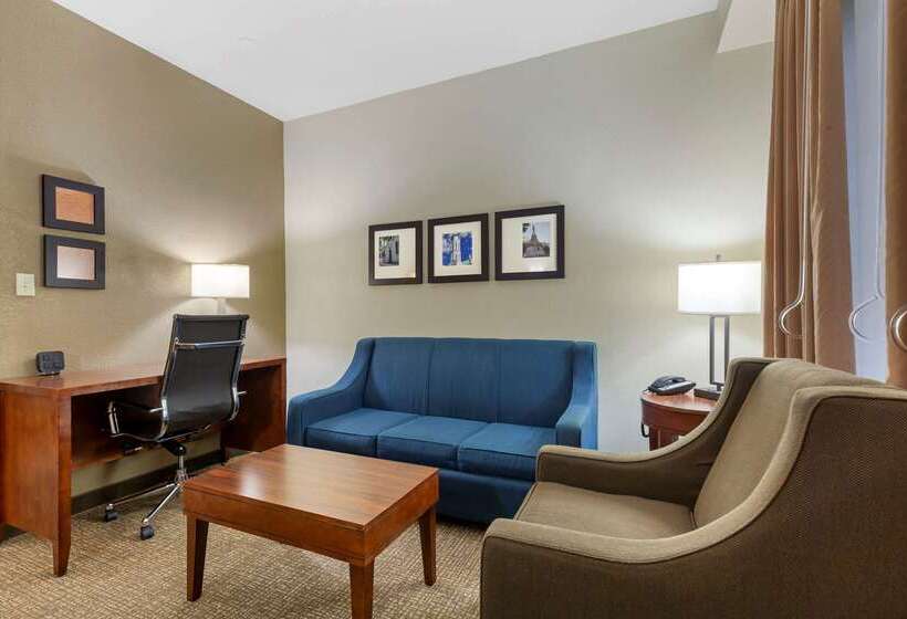 فندق Comfort Suites Fredericksburg South