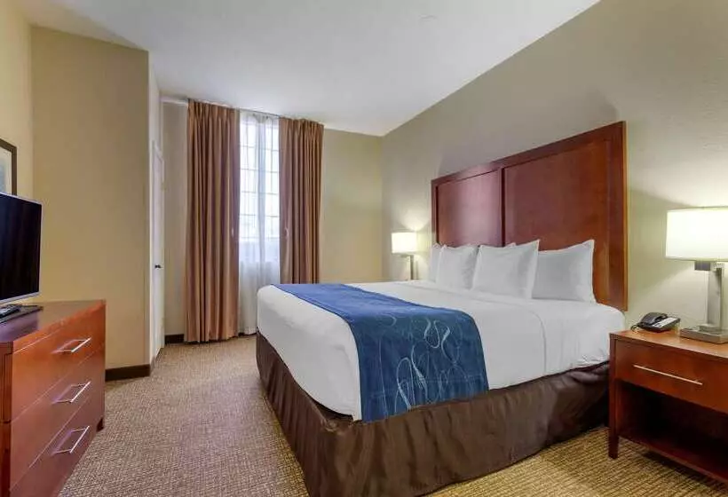 酒店 Comfort Suites Fredericksburg South