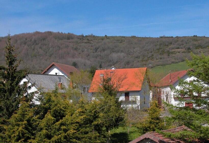 Отель Hostal Arostegui