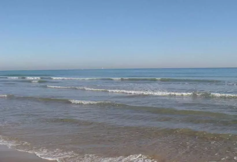 فندق Playa Canet