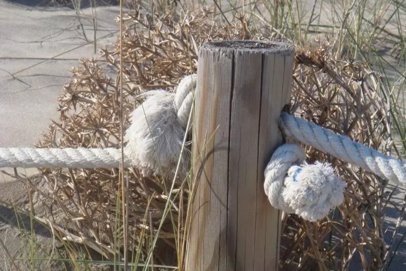 فندق Playa Canet
