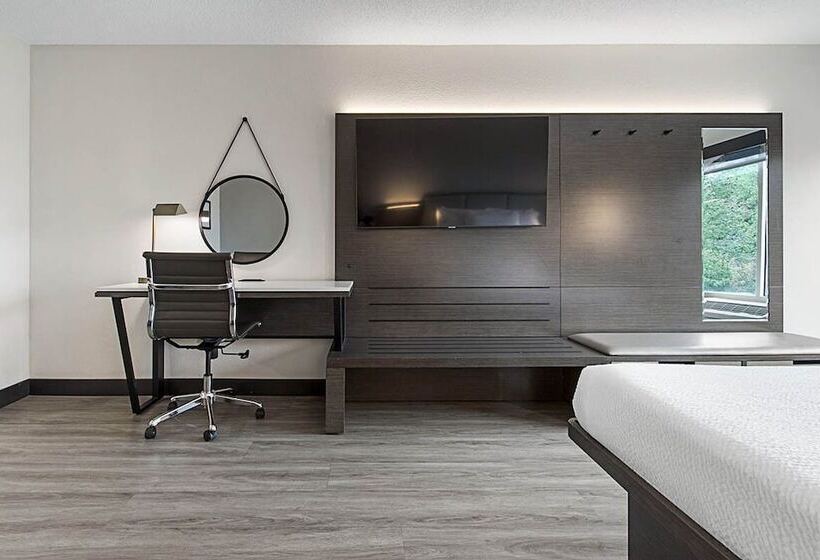 فندق Wingate By Wyndham Macon