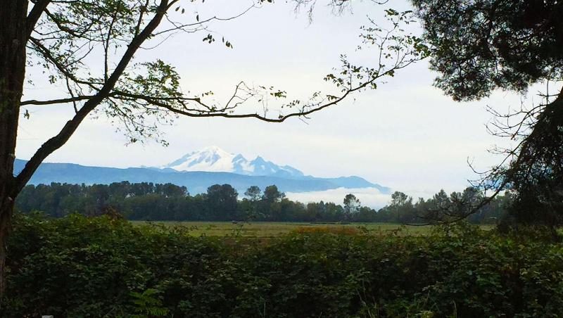 汽车旅馆  Windmill Inn Lynden