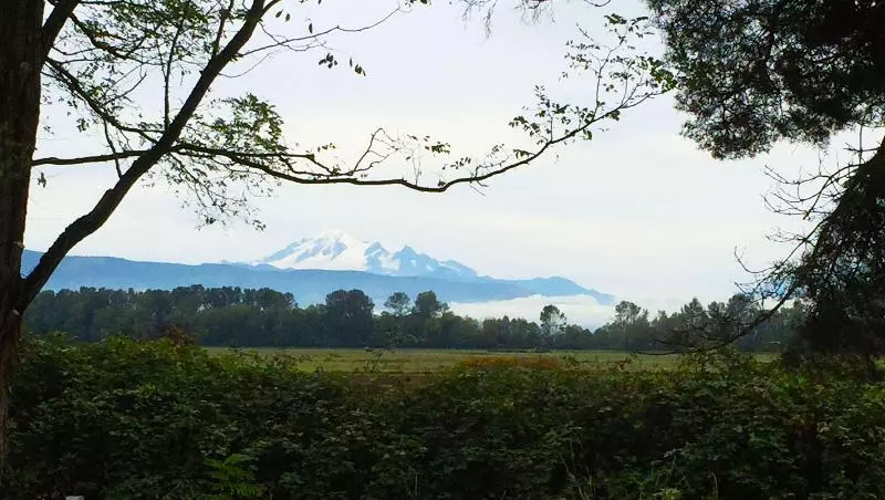 汽车旅馆  Windmill Inn Lynden