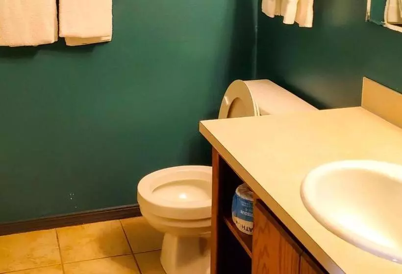 汽车旅馆  Windmill Inn Lynden