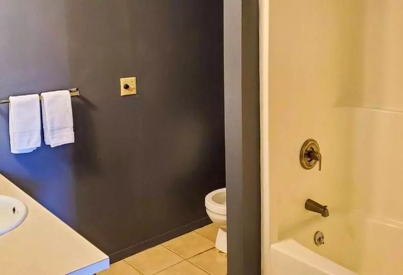 汽车旅馆  Windmill Inn Lynden