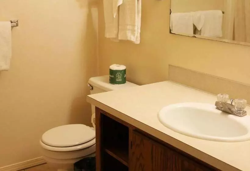 汽车旅馆  Windmill Inn Lynden