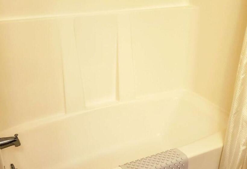 汽车旅馆  Windmill Inn Lynden