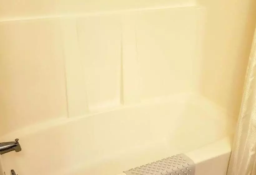 汽车旅馆  Windmill Inn Lynden