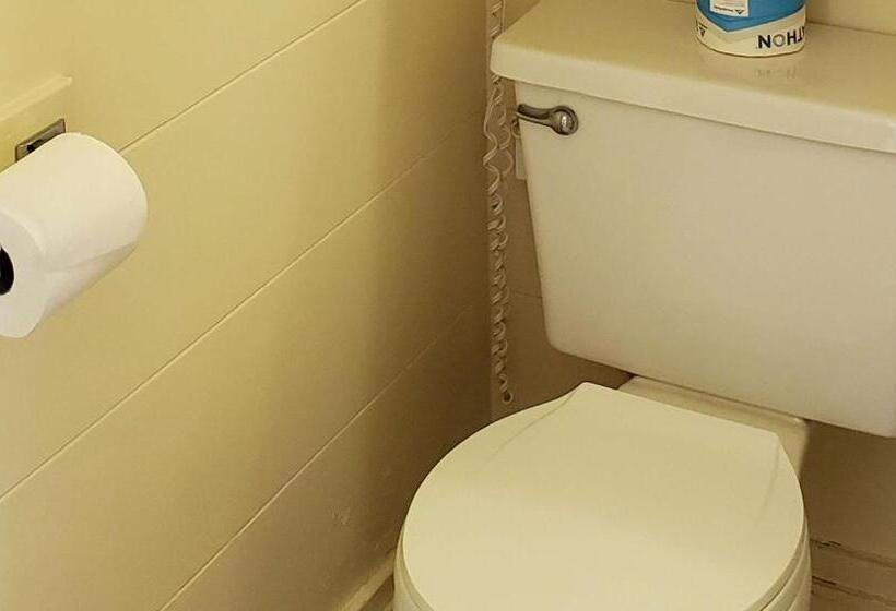 汽车旅馆  Windmill Inn Lynden