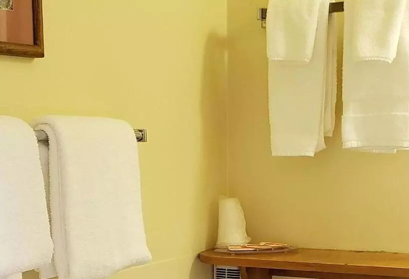 汽车旅馆  Windmill Inn Lynden