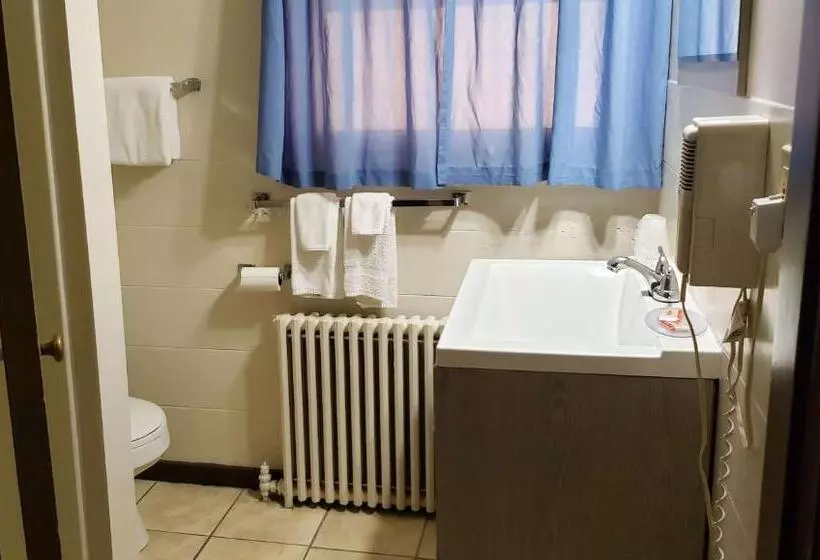 汽车旅馆  Windmill Inn Lynden