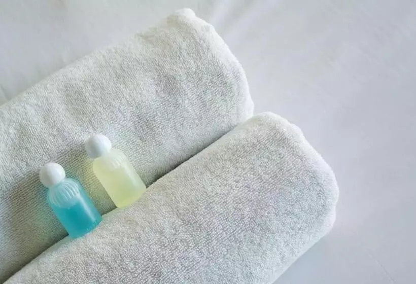 汽车旅馆  Windmill Inn Lynden