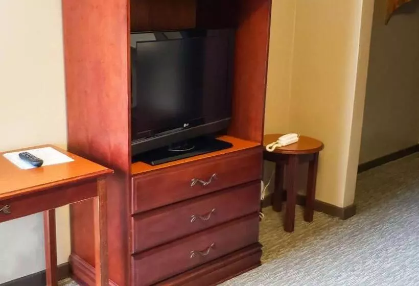 汽车旅馆  Windmill Inn Lynden