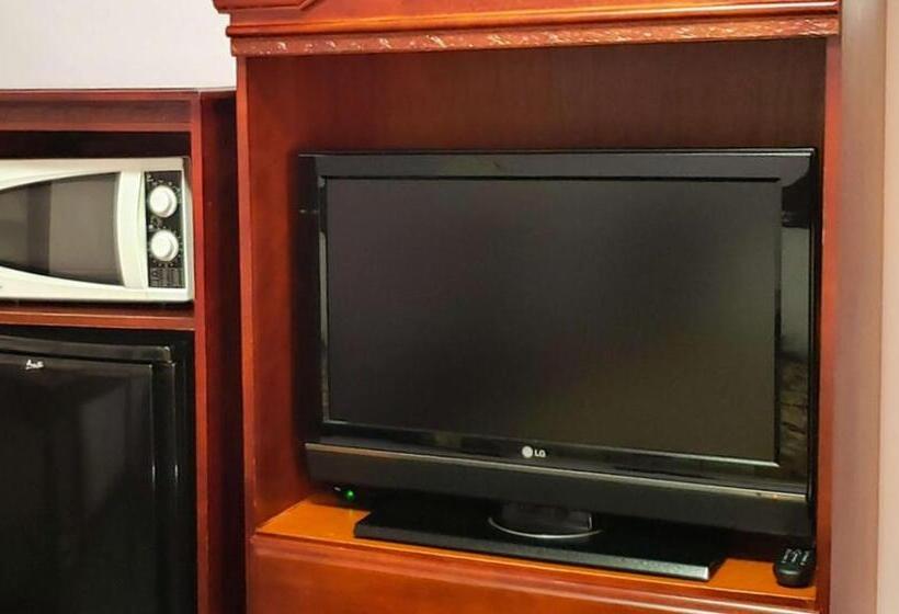 汽车旅馆  Windmill Inn Lynden