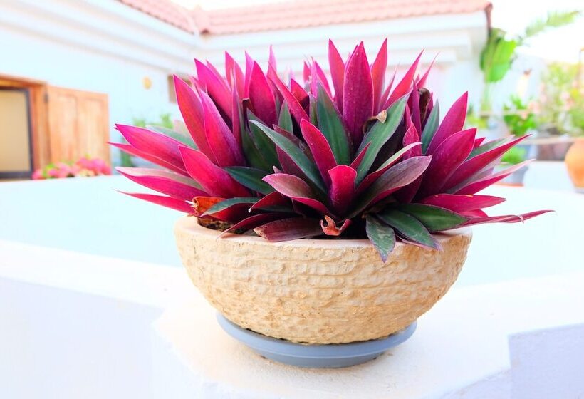 پانسیون La Demeure