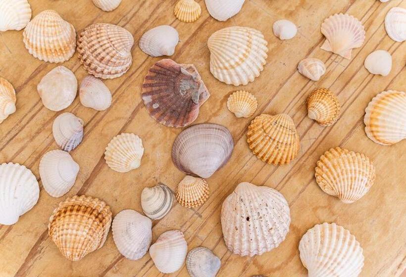 Sea La Vie Beach & Golf Apartment