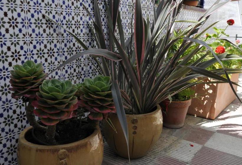 פונדק Hospedaje Facundo