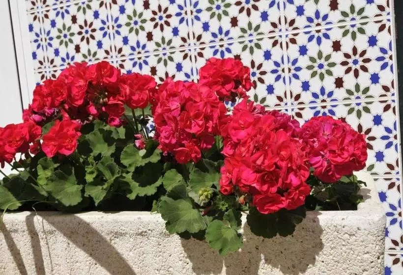 פונדק Hospedaje Facundo