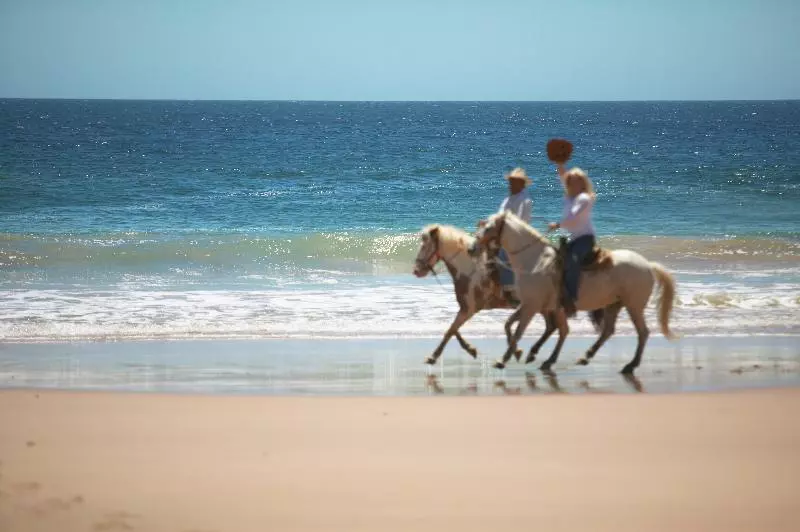 호텔 Las Alamandas