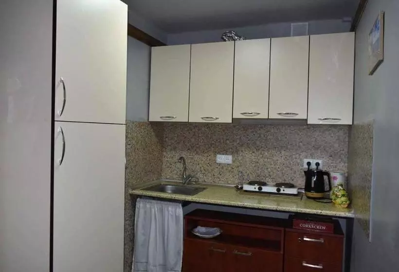 Mini Hostel N.tigranyan 5