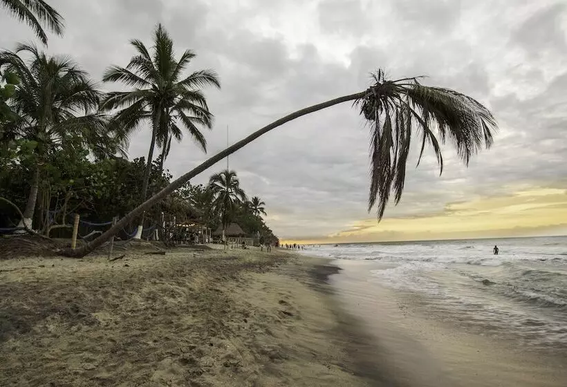 ホテル Selina Palomino