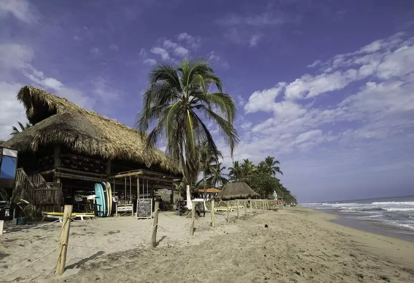 ホテル Selina Palomino