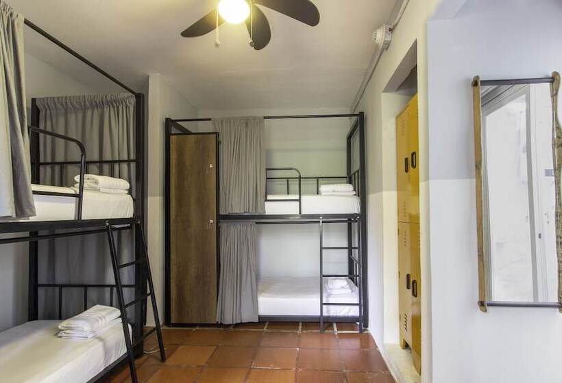 בית מלון כפרי Selina Palomino