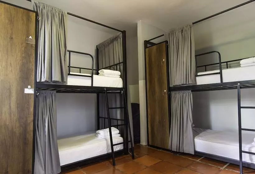 ホテル Selina Palomino