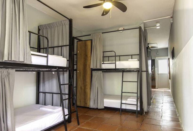 בית מלון כפרי Selina Palomino