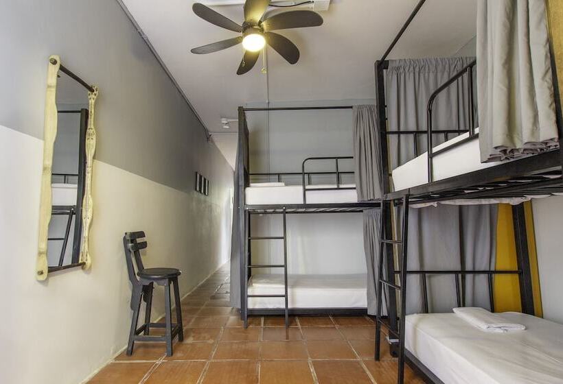 בית מלון כפרי Selina Palomino