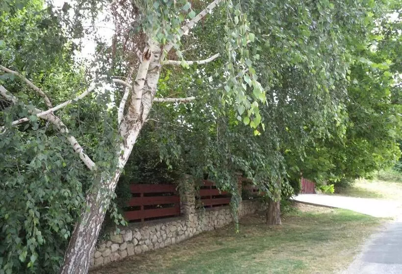 پانسیون Kinga House