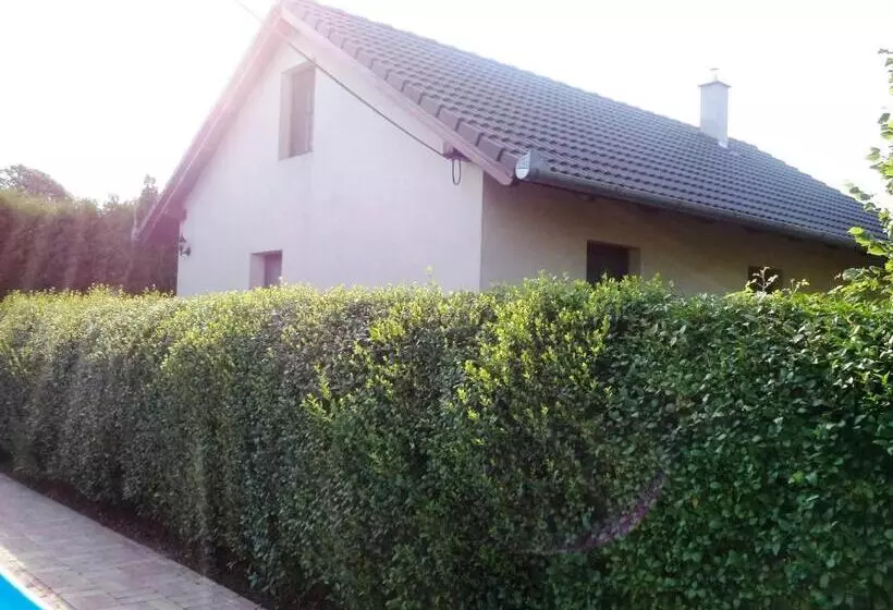 پانسیون Kinga House