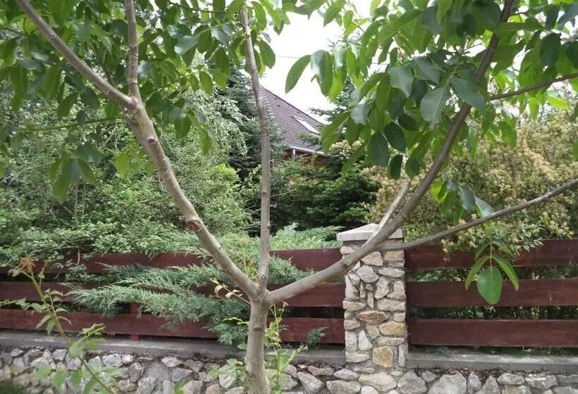 پانسیون Kinga House