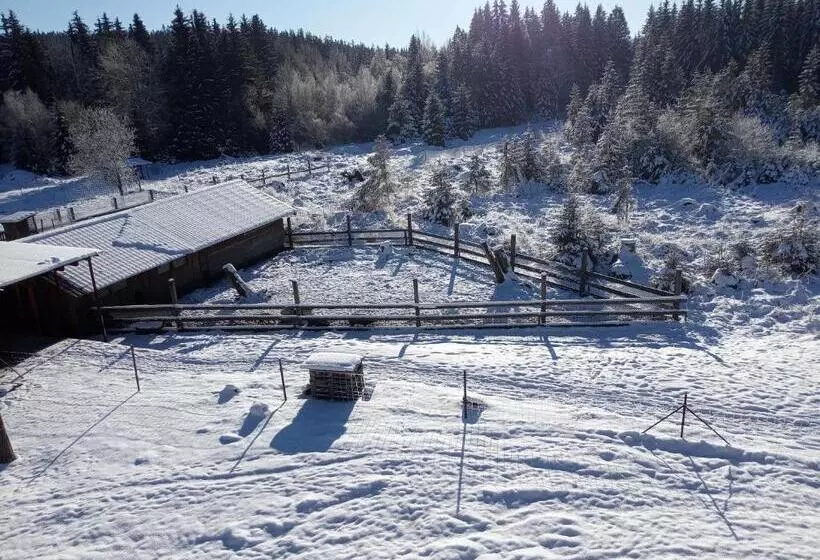 Majatalo Penzion šumavous