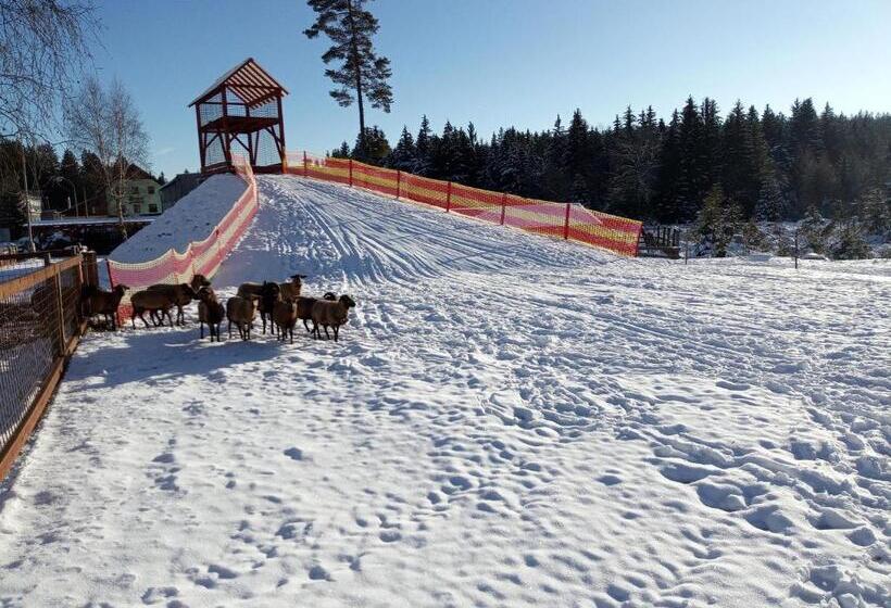 פנסיון Penzion šumavous